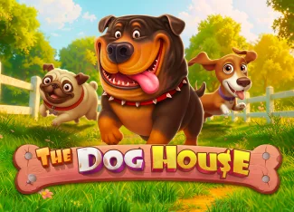 The Dog House ile 55.800 TL Kazanç - Risebets